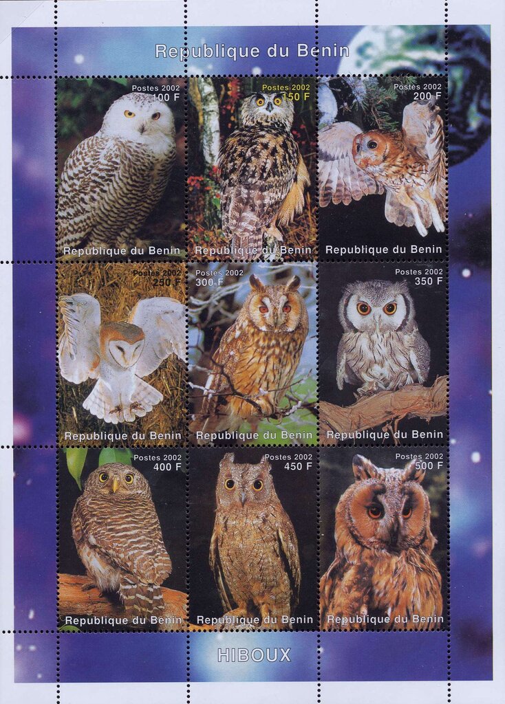Owls