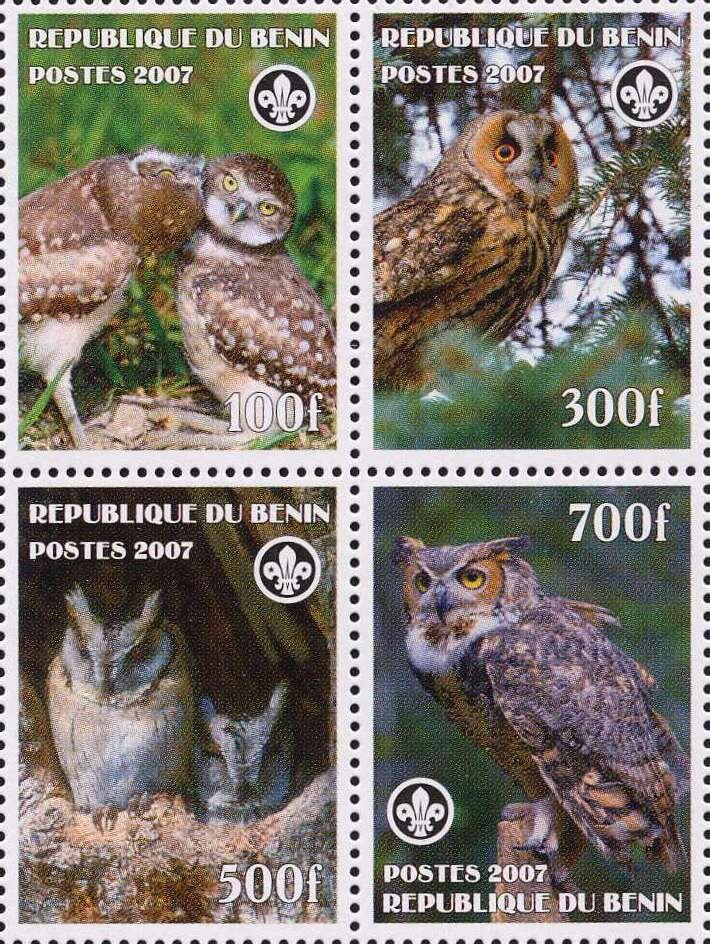 Owls