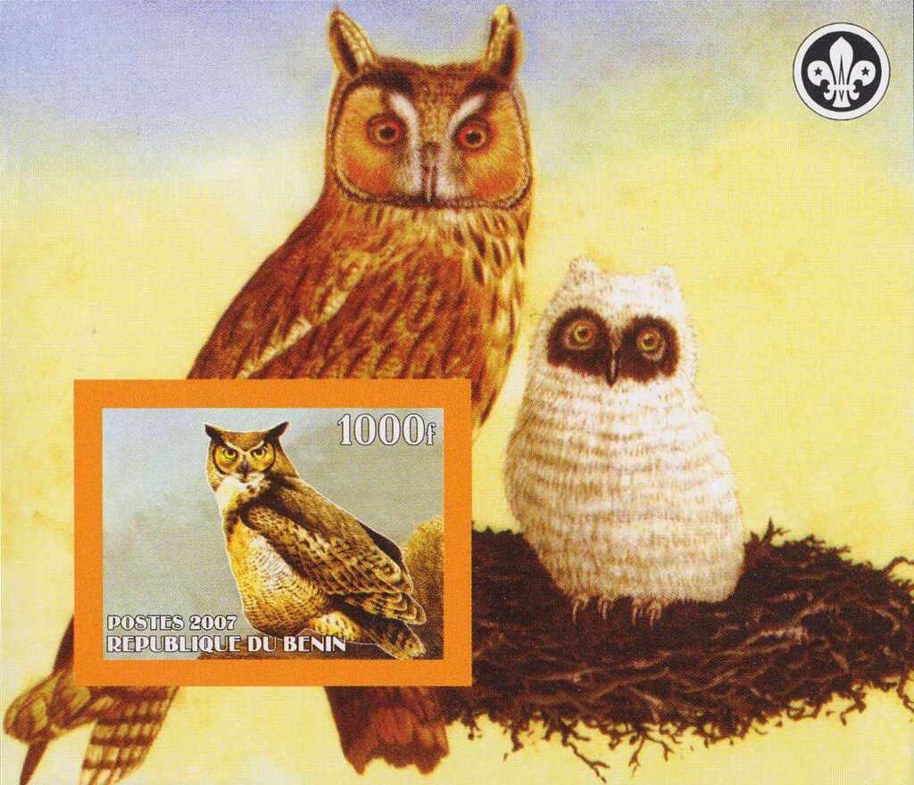 Owls