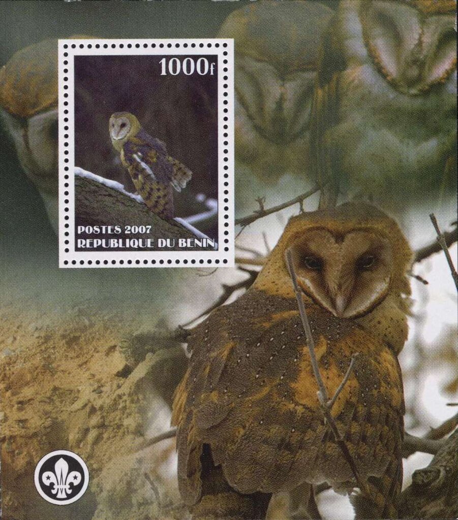Owls