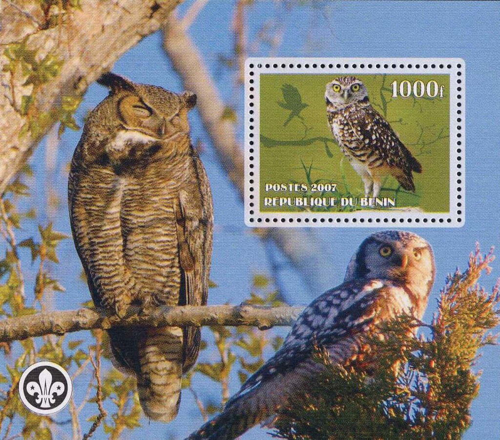 Owls