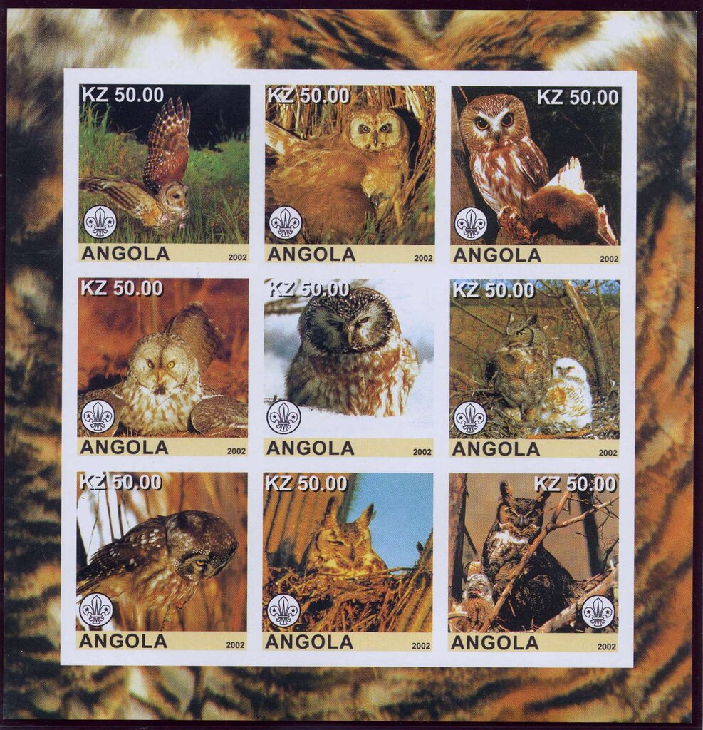 Owls