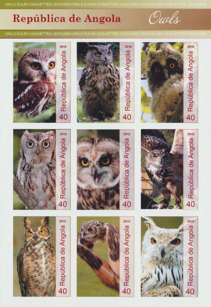 Owls