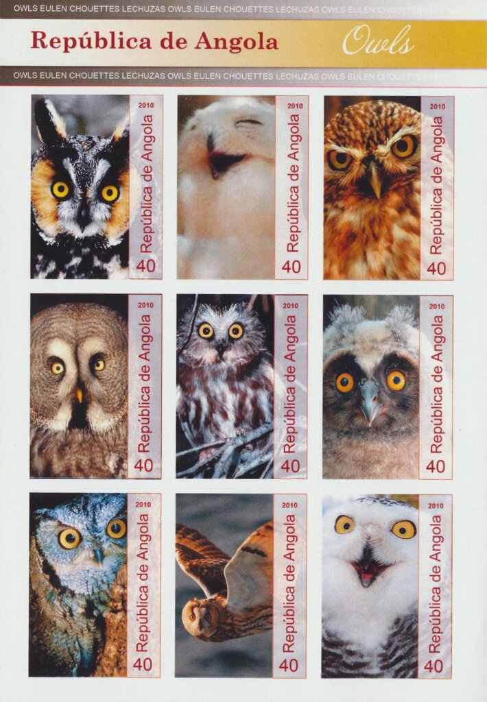 Owls