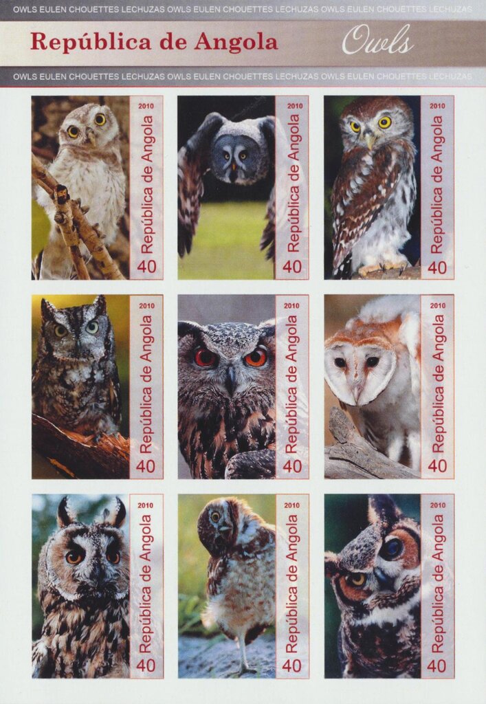 Owls