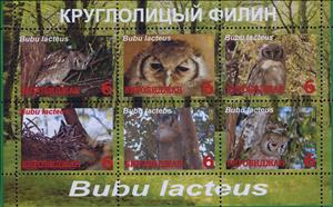 Mini Sheet, Owls, Cinderellas,  , Animals (Fauna), Birds, Owls