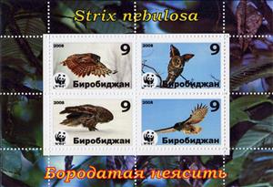 Mini Sheet, Owls, Cinderellas,  , Animals (Fauna), Birds, Owls