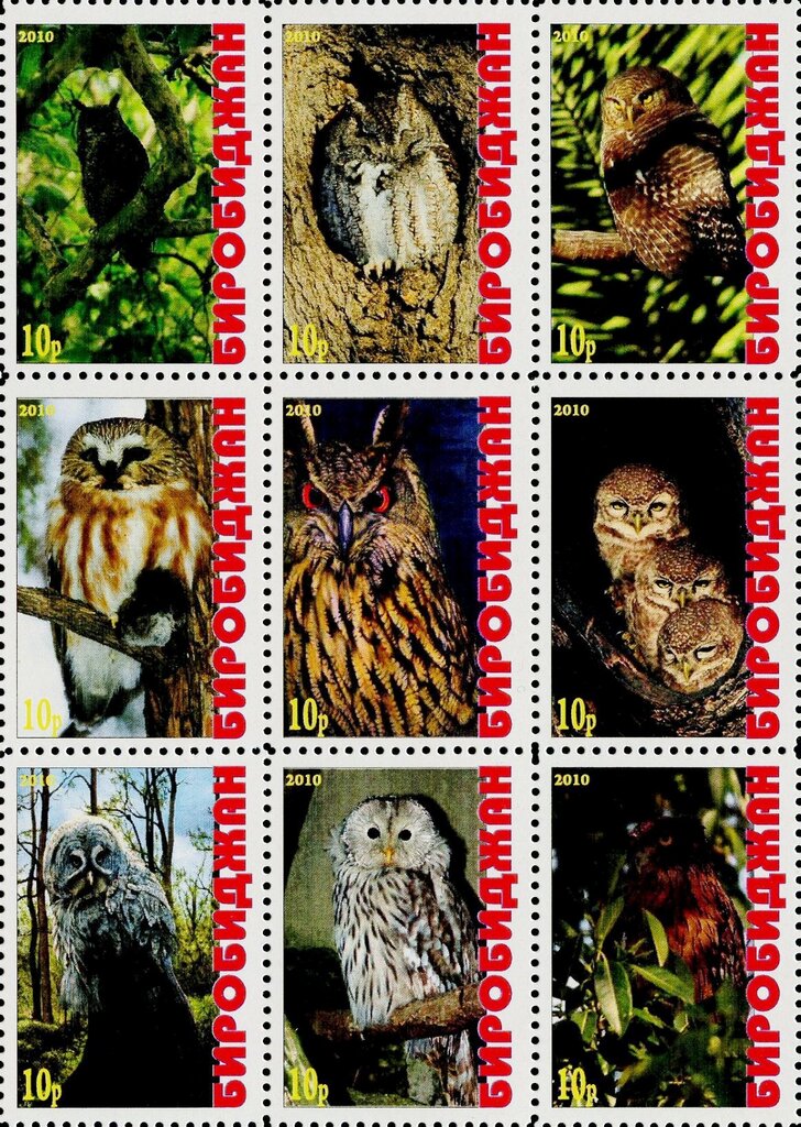 Owls