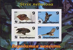 Mini Sheet, Owls, Cinderellas,  , Animals (Fauna), Birds, Owls