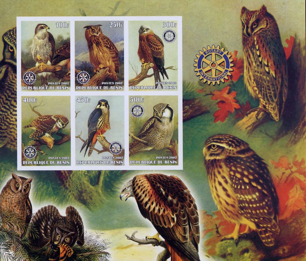 Owls