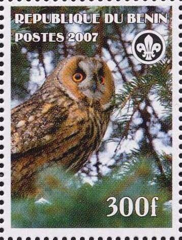 Owls