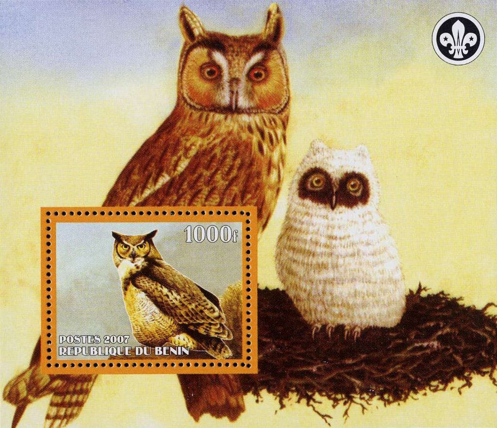 Owls