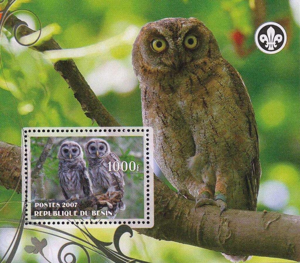Owls