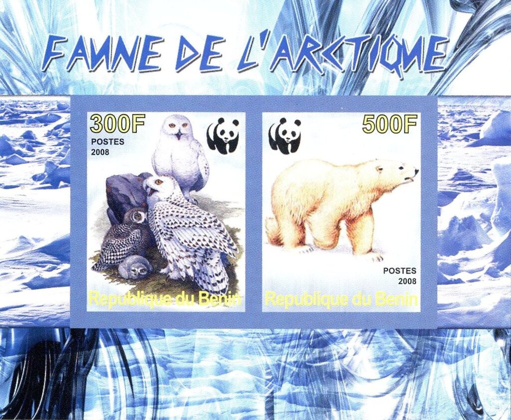Owls and Bear Polar