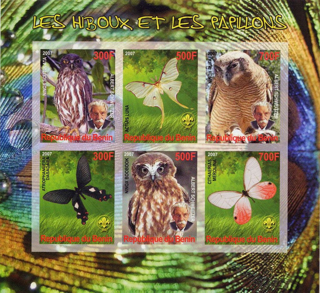 Owls and butterflies