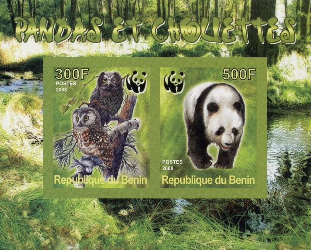 Owls and Koalas
