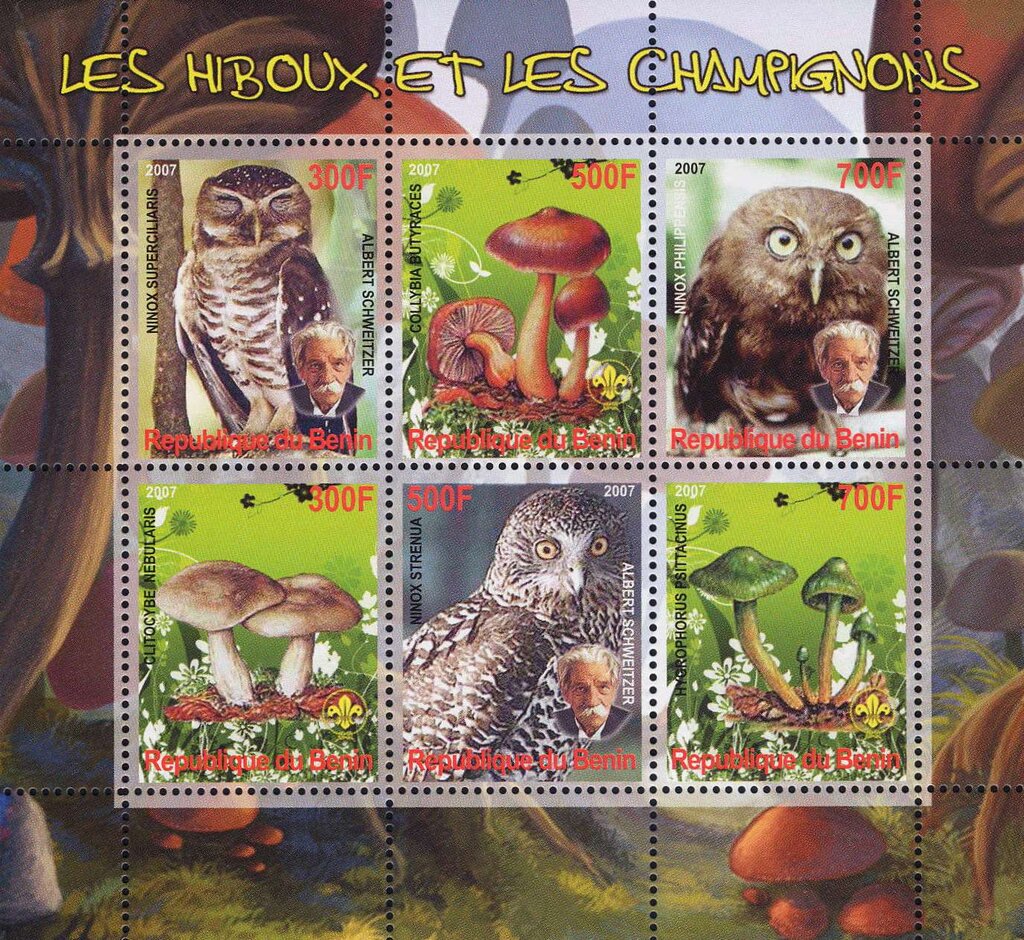 Owls and Mushrooms