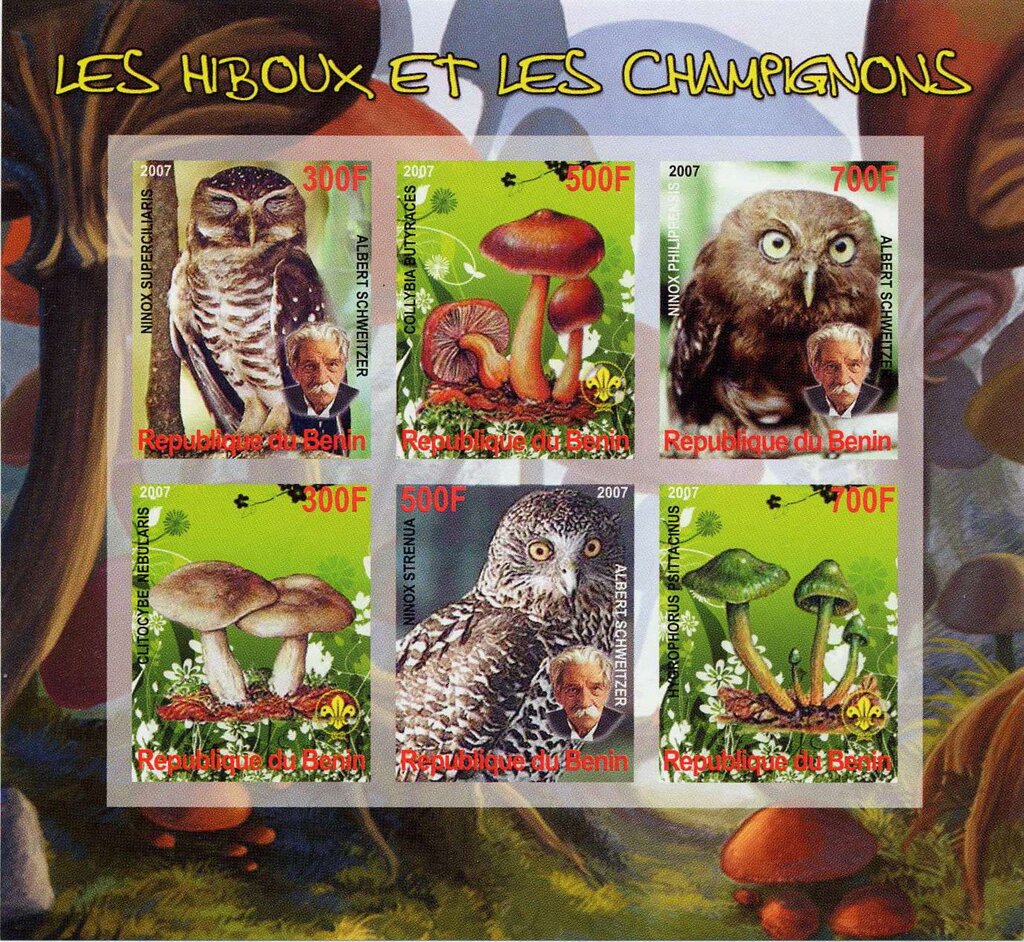 Owls and Mushrooms
