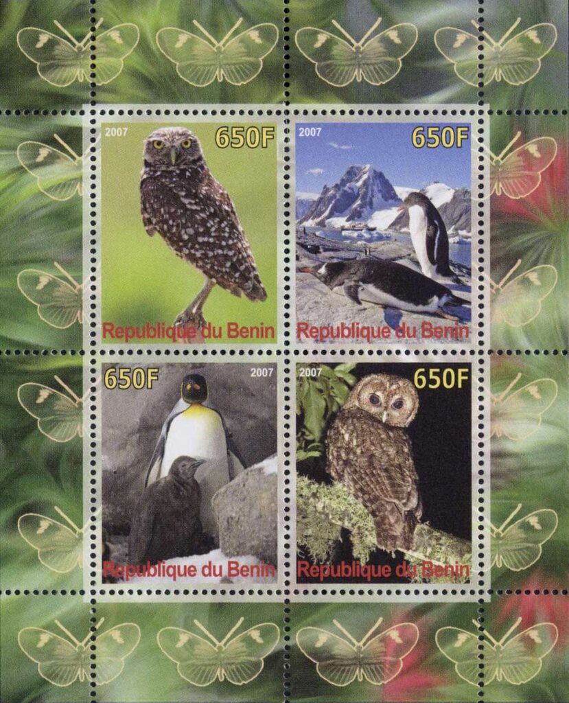 Owls and Penguins