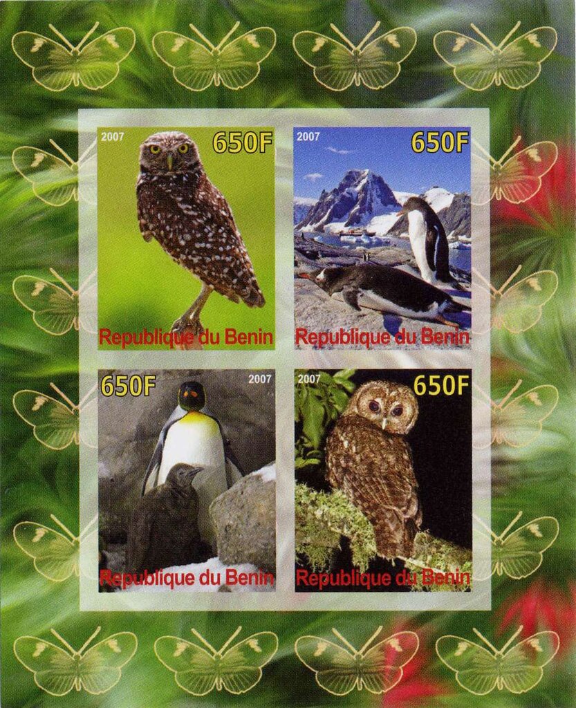 Owls and Penguins