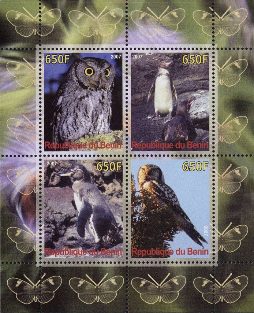 Owls and Penguins