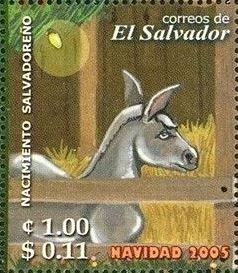 Donkey