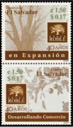 En Expansion - Desarrollando Commercio