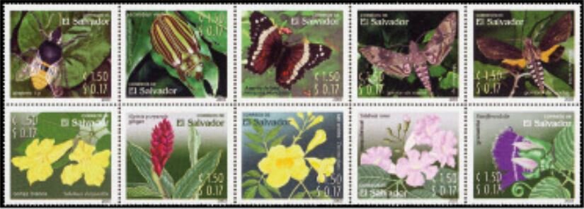 Flowers and Insects