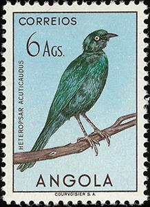 Stamp, Sharp-tailed Glossy Starling (Lamprotornis acuticaudus), Angola,  , Birds, Animals (Fauna)