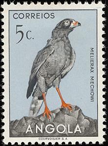 Stamp, Dark Chanting-Goshawk (Melierax metabates mechowi), Angola,  , Birds, Animals (Fauna)