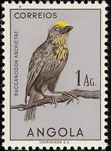 Stamp, Sladen's Barbet (Gymnobucco anchietae), Angola,  , Birds, Animals (Fauna)