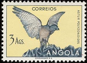 Stamp, Southern Shikra (Accipiter badius polyzonoides), Angola,  , Birds, Animals (Fauna)