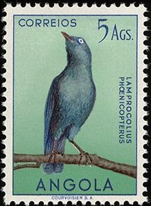 Stamp, Cape Glossy Starling (Lamprotornis nitens) , Angola,  , Birds, Animals (Fauna)