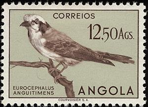 Stamp, White-crowned Shrike (Eurocephalus anguitimens), Angola,  , Birds, Animals (Fauna)