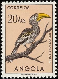 Stamp, Eastern Yellow-billed Hornbill (Tockus flavirostris), Angola,  , Birds, Animals (Fauna)