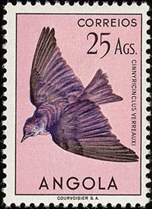 Stamp, Violet-backed Starling (Cinnyricincius leucogaster), Angola,  , Birds, Animals (Fauna)