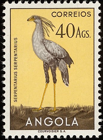 Sectretarybird (Sagittarius serpentarius)