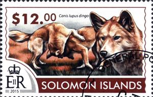 Stamp, Canis lupus dingo, Solomon Islands,  , Animals (Fauna), Dogs