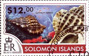 Stamp, Gyrineum natator, Solomon Islands,  , Sea Life, Shells