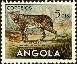 Stamp, Leopard (Panthera pardus), Angola,  , Mammals, Leopards, Animals (Fauna)