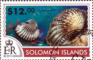 Stamp, Tegillarca nodifera, Solomon Islands,  , Sea Life, Shells