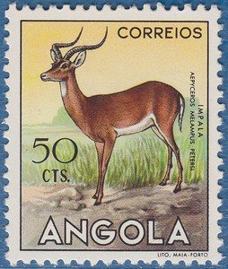 Stamp, Impala (Aepyceros melampus), Angola,  , Mammals, Antelopes, Animals (Fauna)