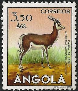 Stamp, Springbok (Antidorcas marsupialis), Angola,  , Mammals, Antelopes, Animals (Fauna)