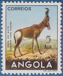 Stamp, Red Hartebeest (Alcelaphus buselaphus caama), Angola,  , Mammals, Antelopes, Animals (Fauna)