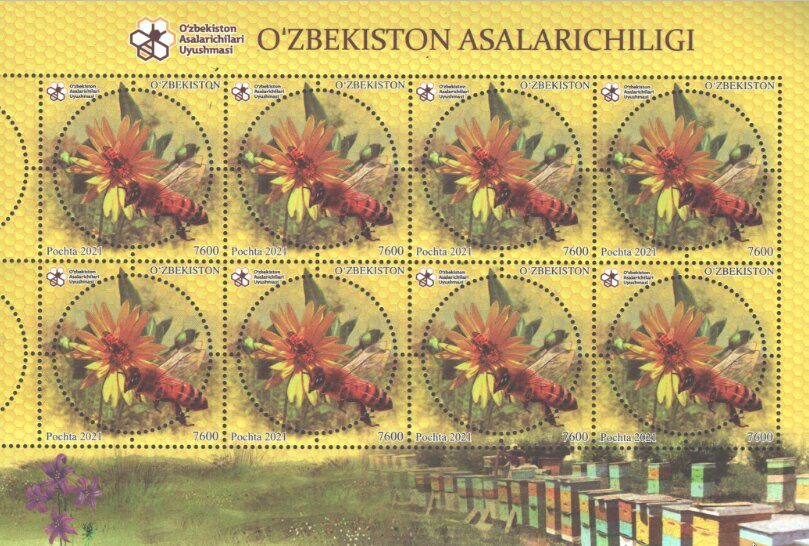 Beekeeping in Uzbekistan