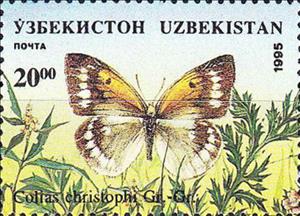 Stamp, Pieridae Butterfly (Colias christophi), Uzbekistan,  , Animals (Fauna), Butterflies, Insects, Plants (Flora)