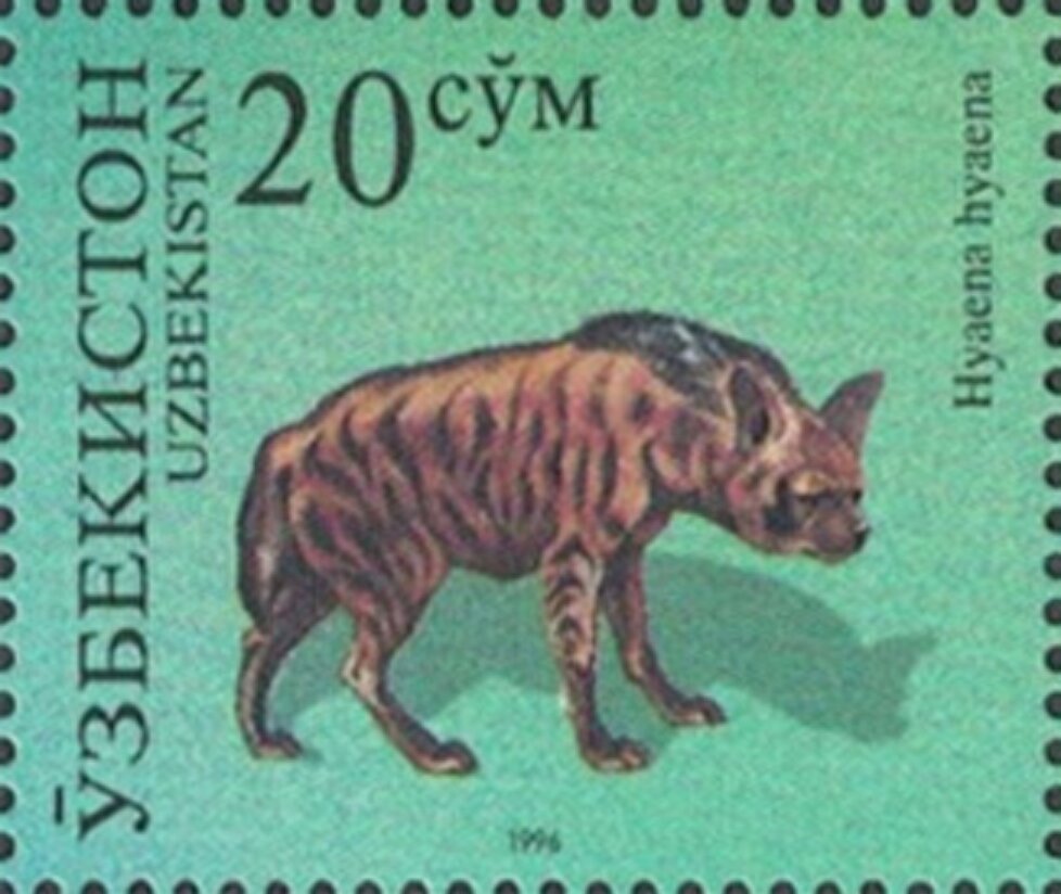 Striped Hyena (Hyaena hyaena)