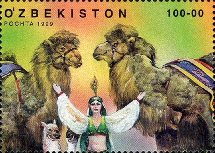 Trained Camels, Bactrian Camel, Llama