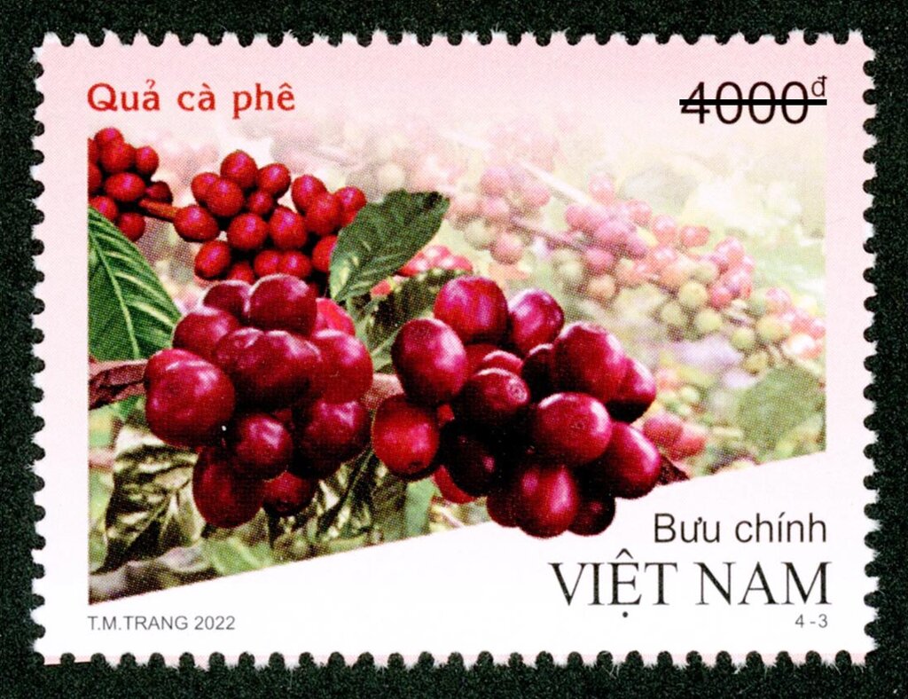 Coffee Beans