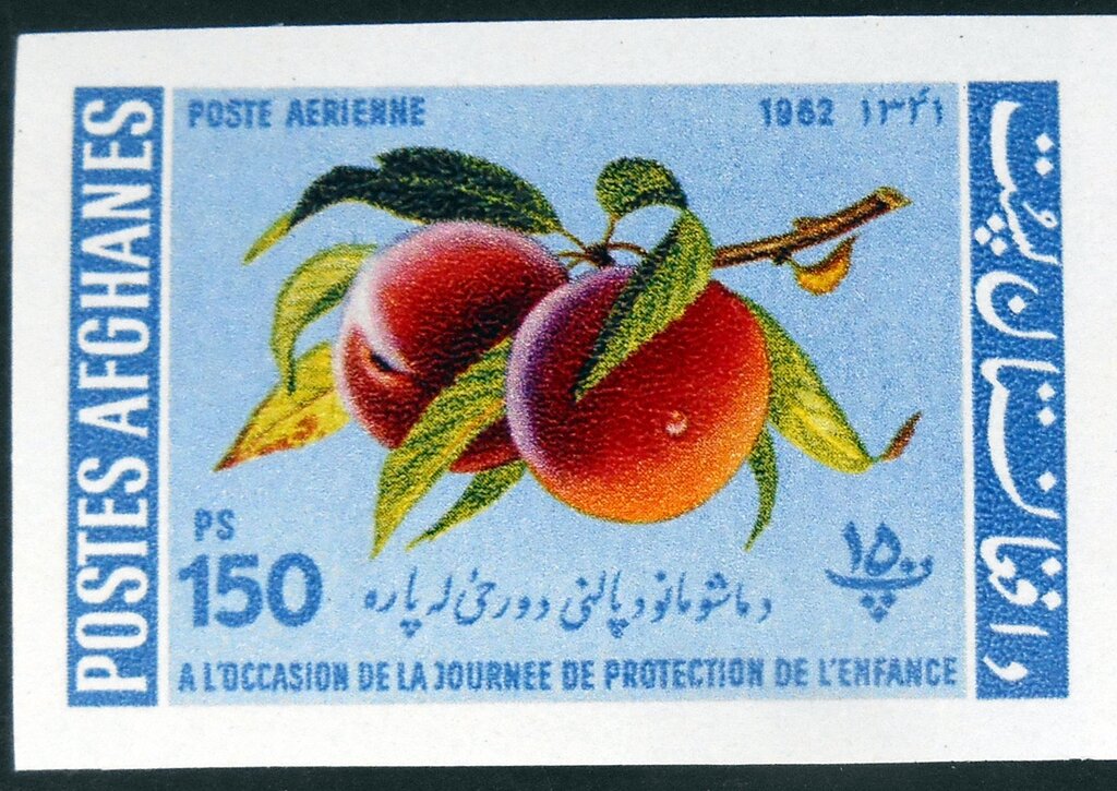 Peaches (Prunus persica)